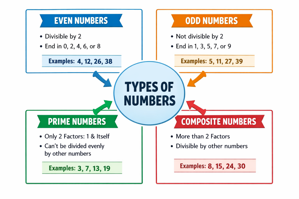 The above picture shows the types of whole numbers